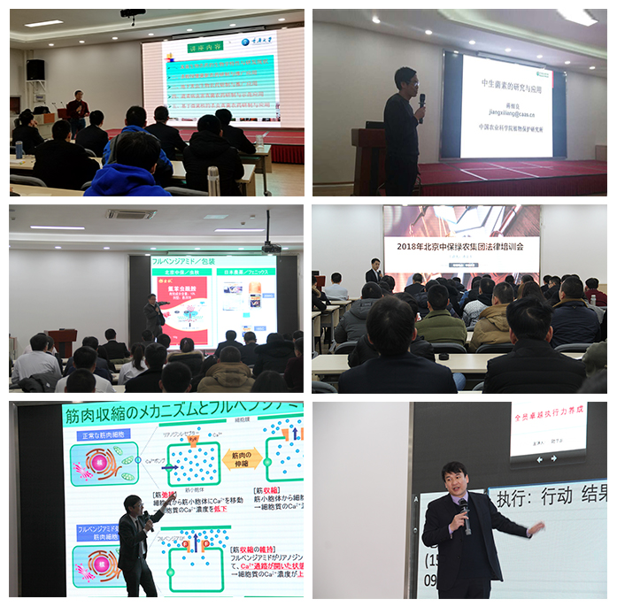 大場(chǎng)景組圖最終版.jpg 大場(chǎng)景組圖最終版.jpg