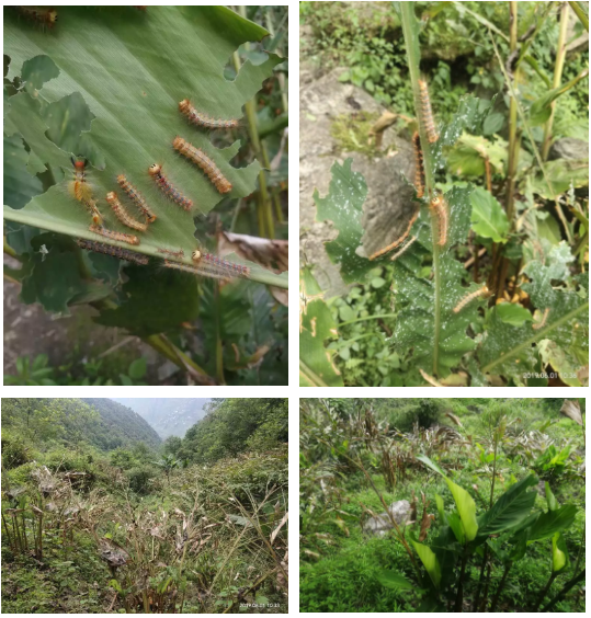 QQ圖片20190617091504.png QQ圖片20190617091504.png