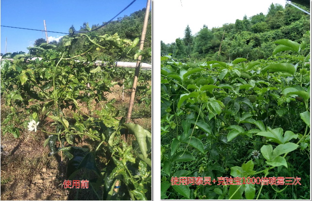 616000BD-410A-4aeb-AF6F-471F2917C0DA.png 616000BD-410A-4aeb-AF6F-471F2917C0DA.png