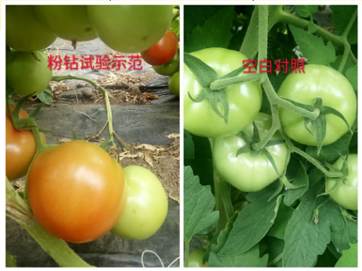 微信1.png 微信1.png