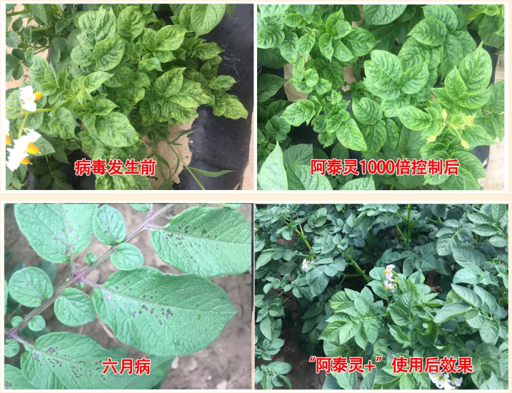 CB0B47EA-9DEC-40c7-8B57-A59DDF60437B.png CB0B47EA-9DEC-40c7-8B57-A59DDF60437B.png