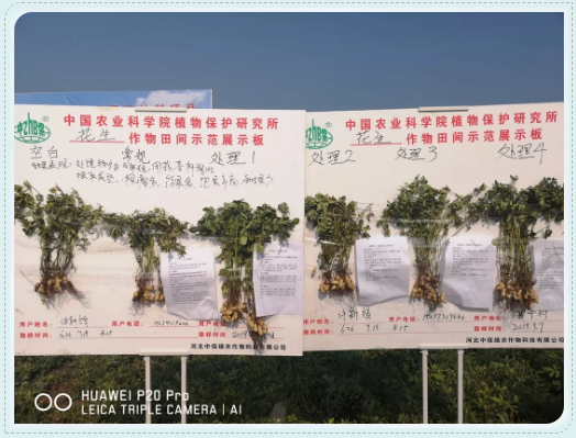 微信2.png 微信2.png