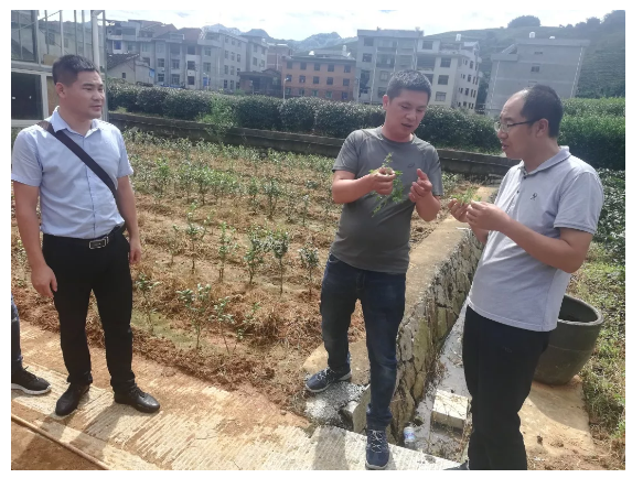 微信4.png 微信4.png