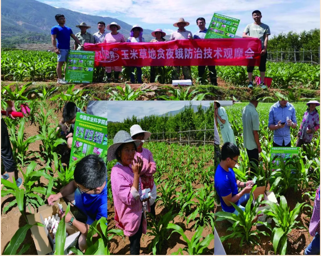 lALPDgtYt7t3G77NAgDNAoE_641_512.png lALPDgtYt7t3G77NAgDNAoE_641_512.png