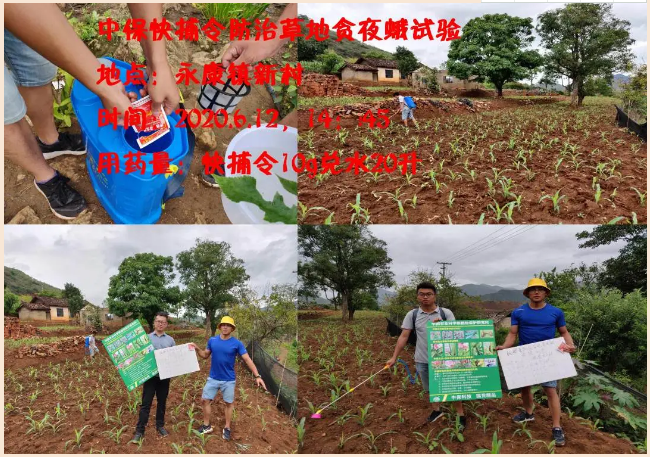 lALPDg7mNmA-17_NAcnNAoo_650_457.png lALPDg7mNmA-17_NAcnNAoo_650_457.png