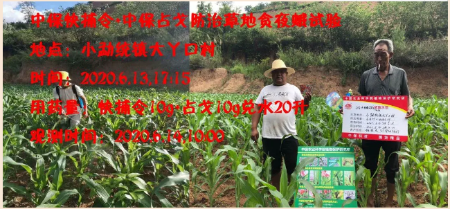 lALPDgfLORbAO9fNAS7NAoo_650_302.png lALPDgfLORbAO9fNAS7NAoo_650_302.png