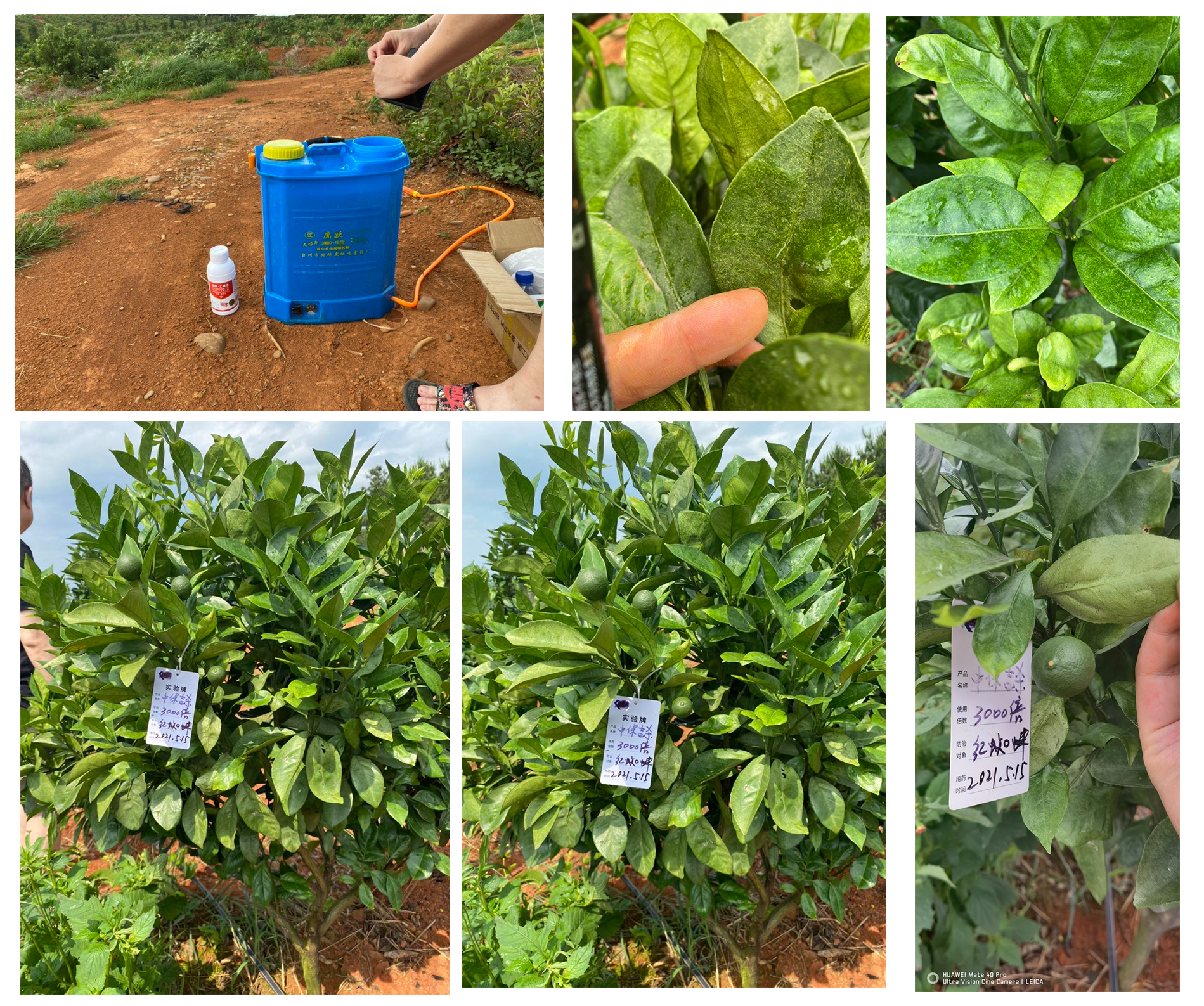 組圖1.jpg 組圖1.jpg