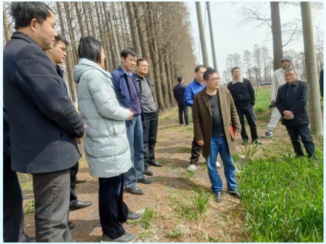 lALPJw1WR7bKcrfNAebNAoo_650_486.png lALPJw1WR7bKcrfNAebNAoo_650_486.png