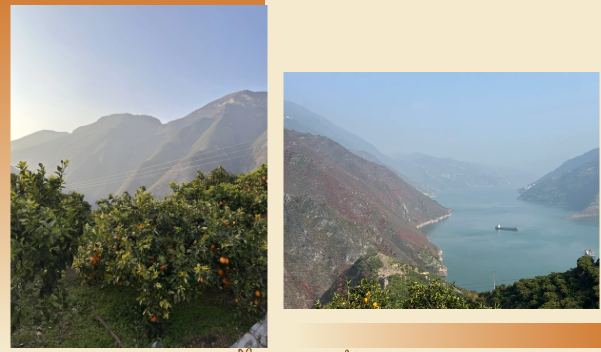 lQLPJyAtJFCdB_HNAWDNAlmwUTWGUdly_ZMHUbzssAWfAA_601_352.png lQLPJyAtJFCdB_HNAWDNAlmwUTWGUdly_ZMHUbzssAWfAA_601_352.png