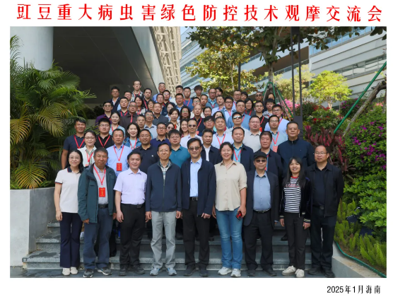 lQLPJx9HCgMfJQXNAaTNAiywd03127MbbjoHaQnI1NZFAA_556_420.png lQLPJx9HCgMfJQXNAaTNAiywd03127MbbjoHaQnI1NZFAA_556_420.png