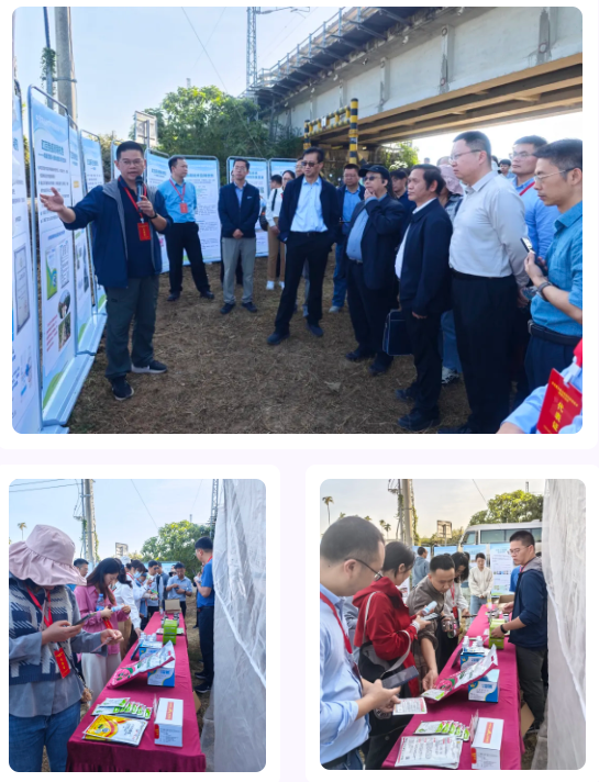 lQLPJxXc4P9m_EXNAsjNAiGwGcrmRs4eG44HaQnlBnCpAA_545_712.png lQLPJxXc4P9m_EXNAsjNAiGwGcrmRs4eG44HaQnlBnCpAA_545_712.png