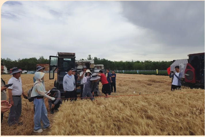 lQLPJxcT7OiQqpXNAdvNAsiwXHN_Agq91T0IS387qqXGAA_712_475.png lQLPJxcT7OiQqpXNAdvNAsiwXHN_Agq91T0IS387qqXGAA_712_475.png