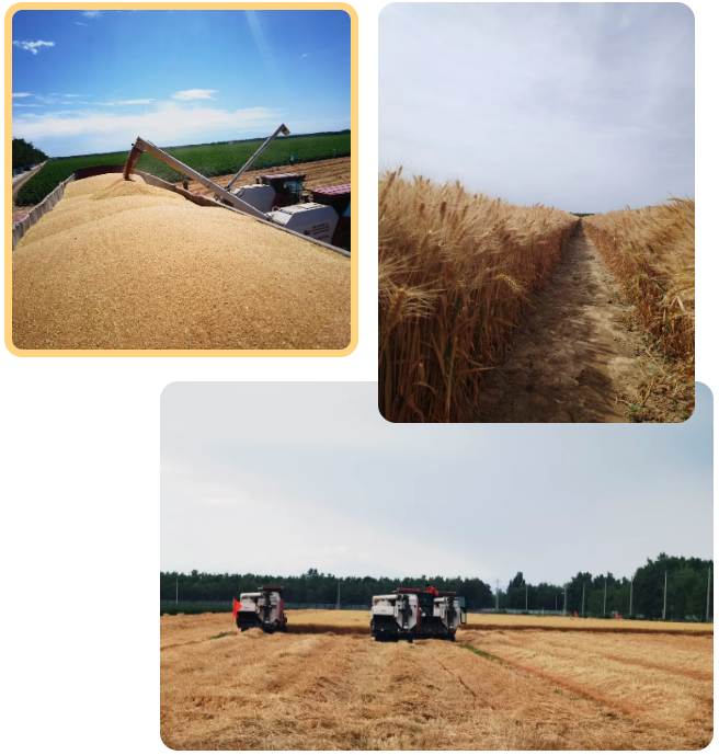 lQLPKHozMnAi-ZXNArHNApCwuX2flIaczskIS39QCqDWAA_656_689.png lQLPKHozMnAi-ZXNArHNApCwuX2flIaczskIS39QCqDWAA_656_689.png