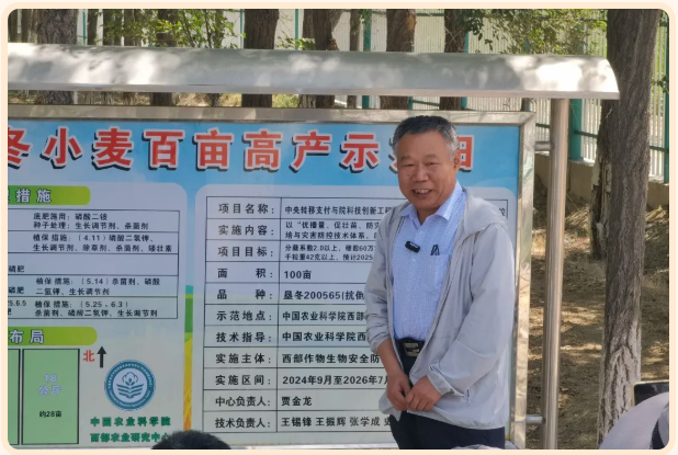 lQLPKGP3lEb631XNAZ_NAmqwTE6M72F1VYIIS39vCZSqAA_618_415.png lQLPKGP3lEb631XNAZ_NAmqwTE6M72F1VYIIS39vCZSqAA_618_415.png