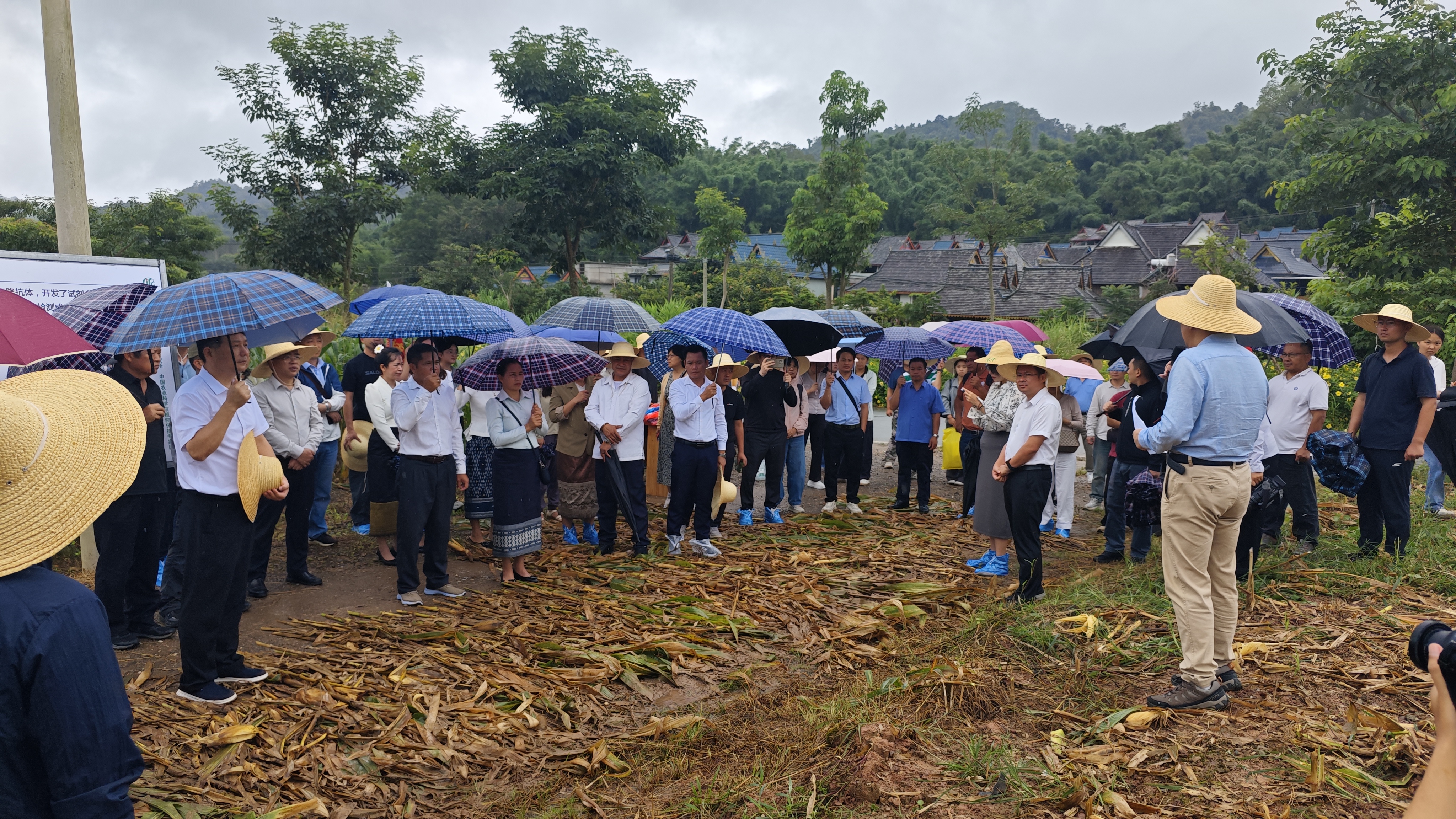 lQDPJwD59XrrE4XNCQDNEACwU3mTAm5TZQcIhtMumJxaAA_4096_2304.jpg lQDPJwD59XrrE4XNCQDNEACwU3mTAm5TZQcIhtMumJxaAA_4096_2304.jpg