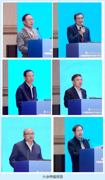 lQLPJxkzzaOJ4N_NAk_NAViwaYpBSP-SdU0I8deTygyPAA_344_591.png lQLPJxkzzaOJ4N_NAk_NAViwaYpBSP-SdU0I8deTygyPAA_344_591.png